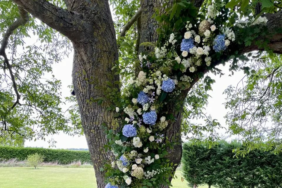 Atelier Menthe à l'Eau — photo 7