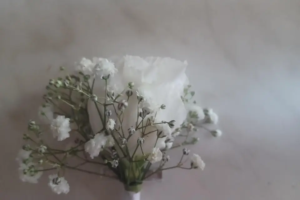 Fleuralys — photo 8