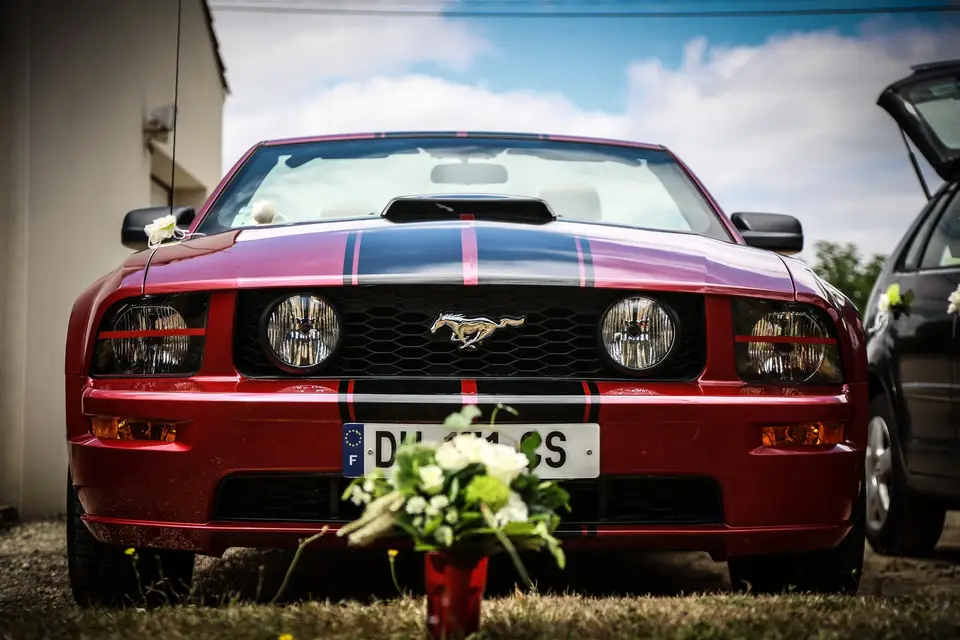 Fabien Miras — photo 3