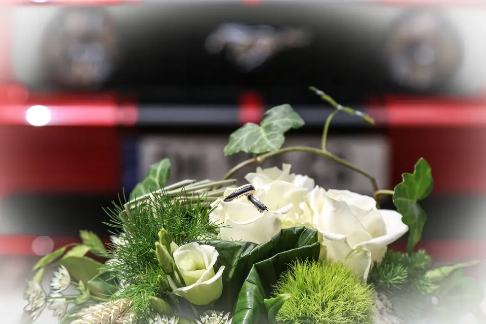 Fabien Miras — photo 4