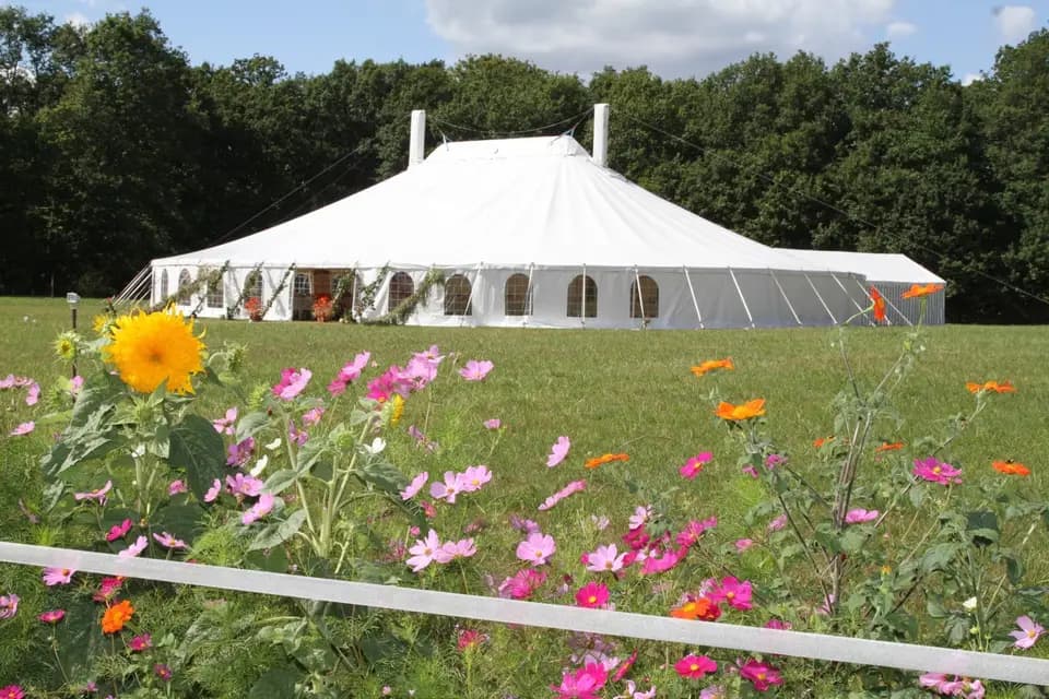 Tente & Plus — photo 7