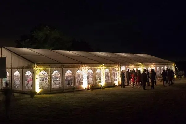 Tente & Plus — photo 5