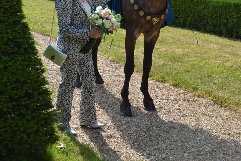 Ratner Katerina - Horse Events — photo 5