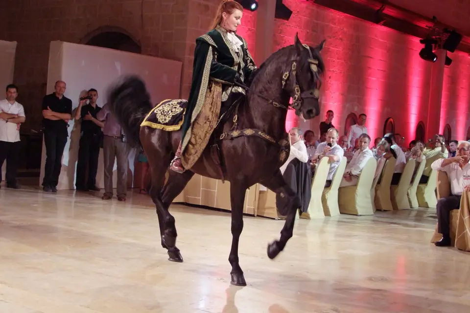 Ratner Katerina - Horse Events — photo 3