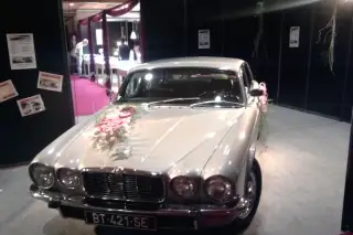 Goldcar Location — photo 4