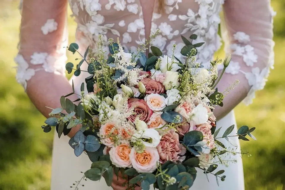 Vegetal and co — photo 2