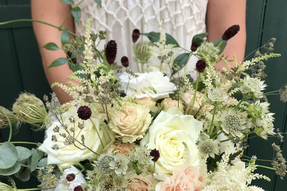 Vegetal and co — photo 7