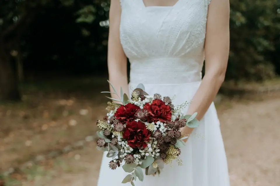 Vegetal and co — photo 5