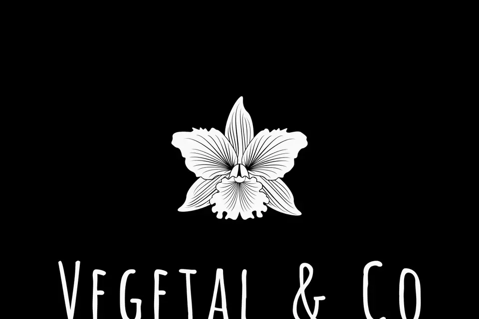 Vegetal and co — photo 3