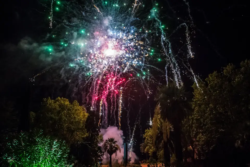 Millétoiles - feu d'artifice — photo 8