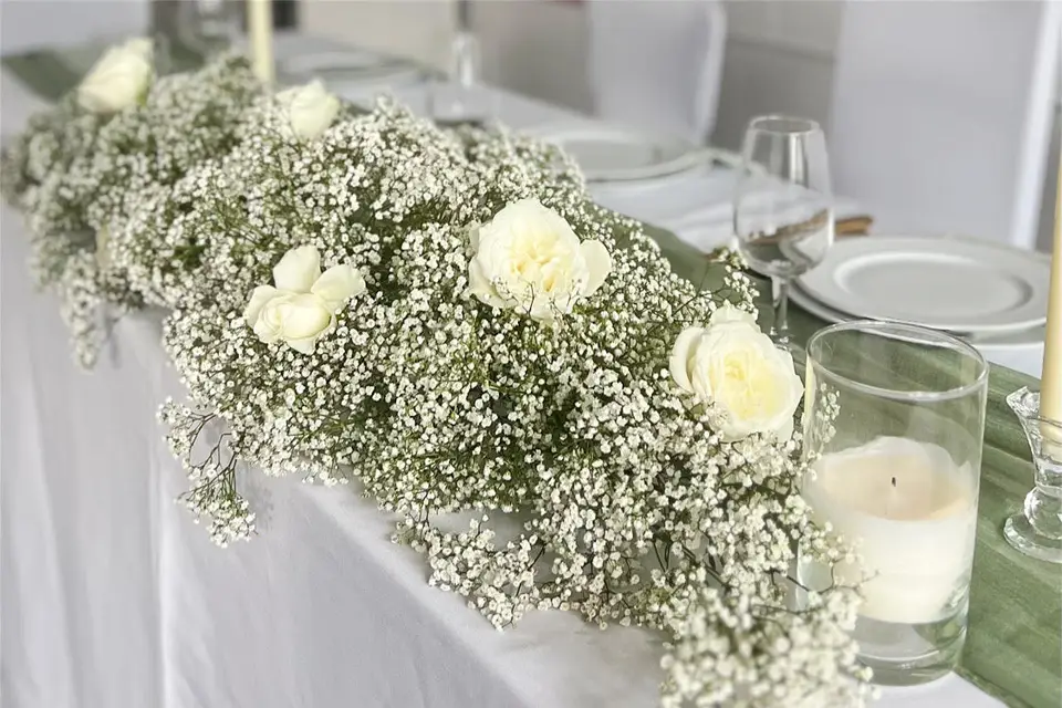 Maya Evénements — photo 5