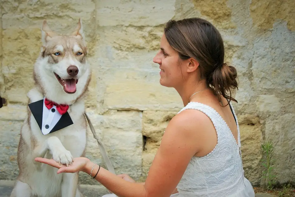 Le chien des mariés