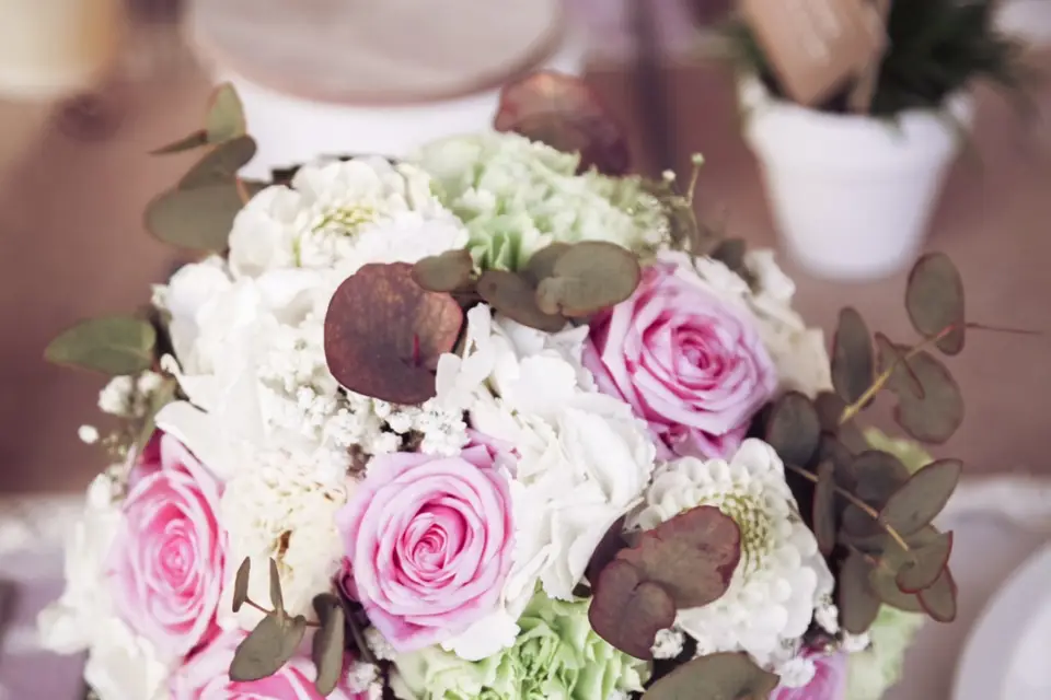 L'Effervescence — photo 7