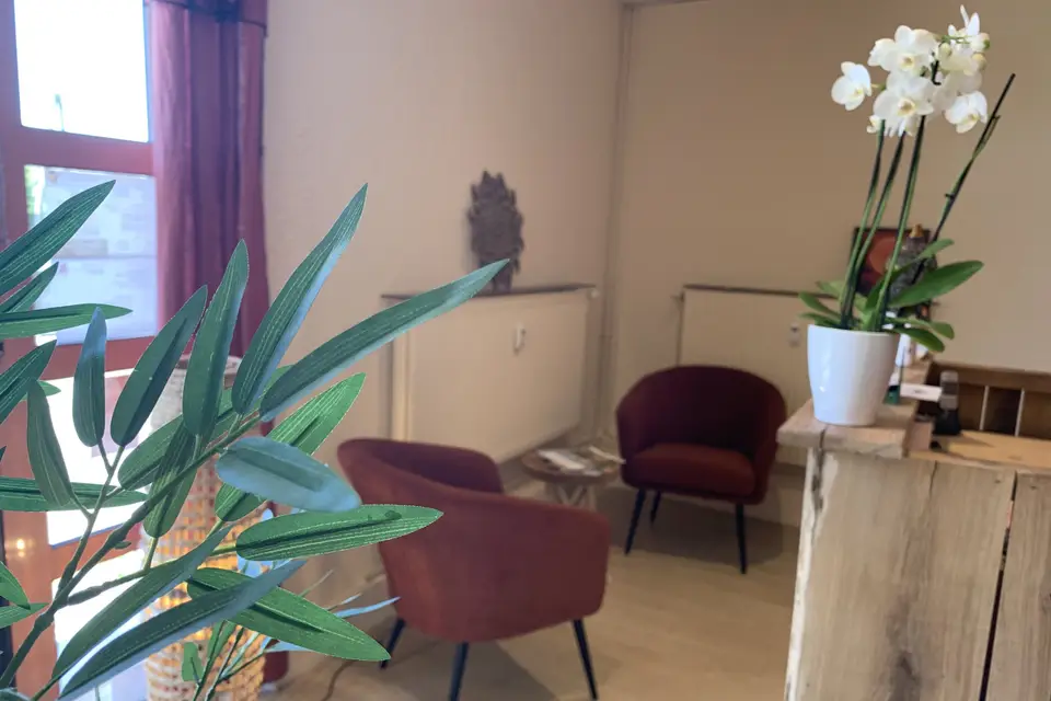 Hamameliz — photo 1