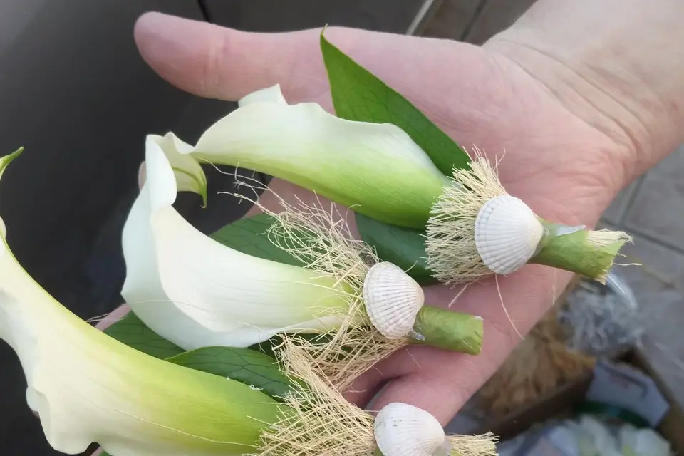 D'une Fleur à l'Autre — photo 7