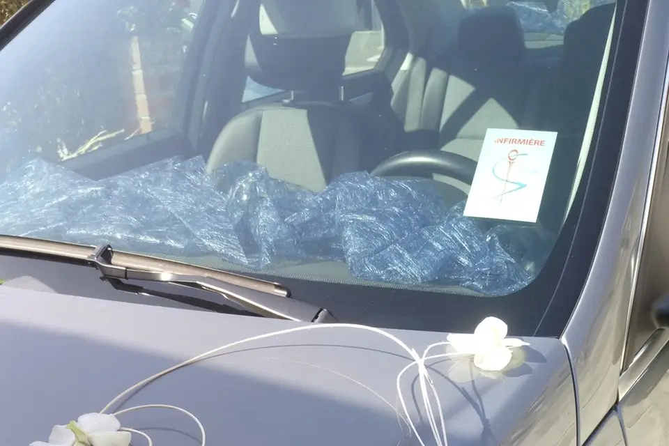 D'une Fleur à l'Autre — photo 8