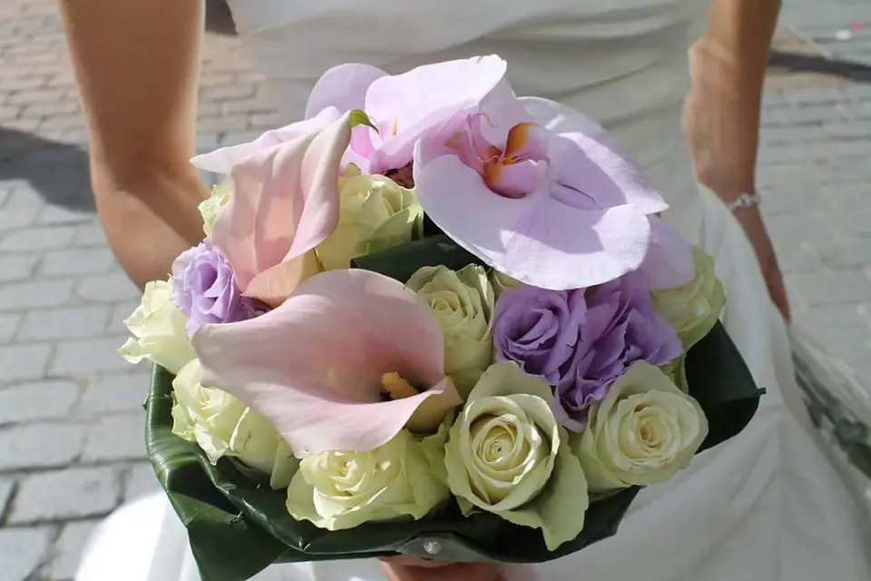 D'une Fleur à l'Autre — photo 4