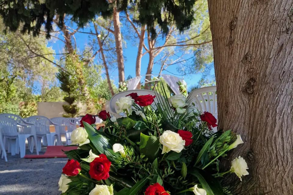 Amazonie — photo 4