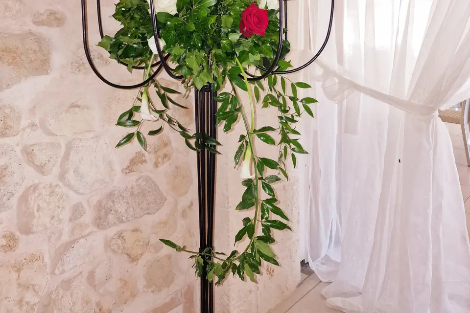 Amazonie — photo 7