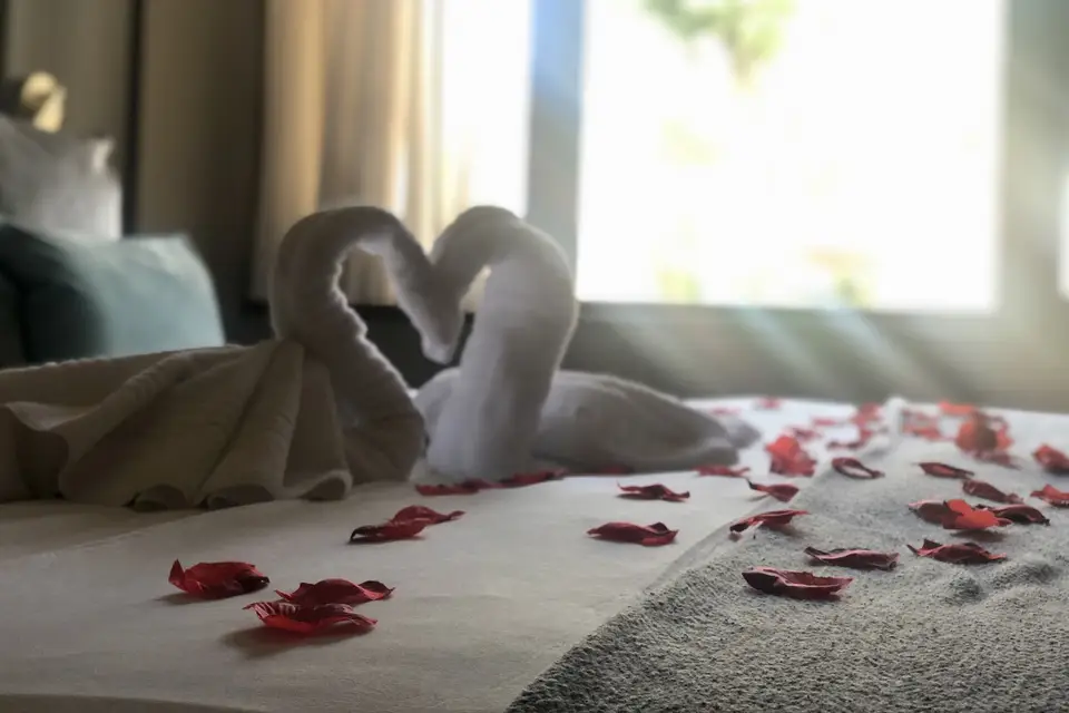 Agence Yours — photo 1