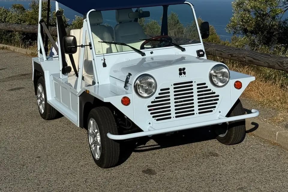 Dolce Vita — photo 5