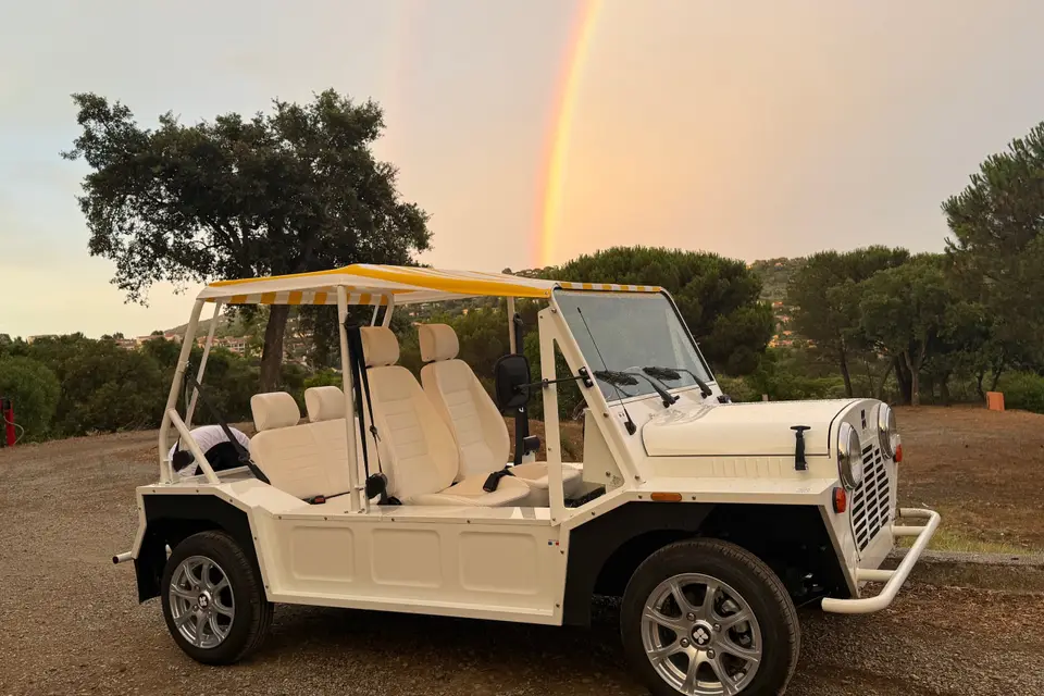 Dolce Vita — photo 3