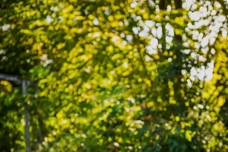 Les Jardins du Cot — photo 8