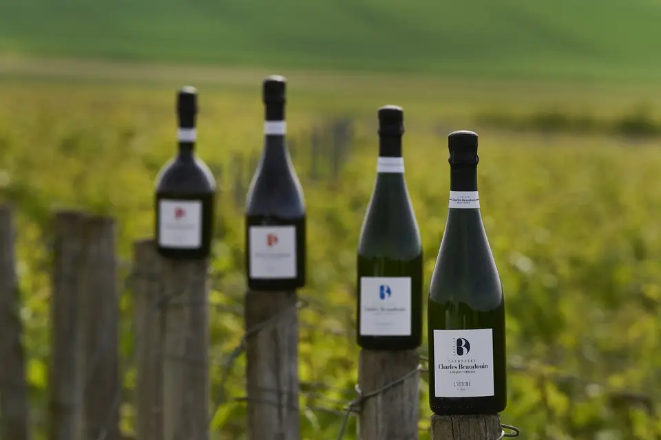 Champagne Charles Beaudouin — photo 2
