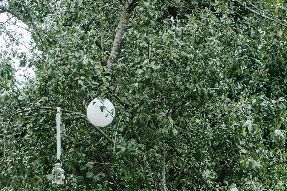 L'art du Détail — photo 2