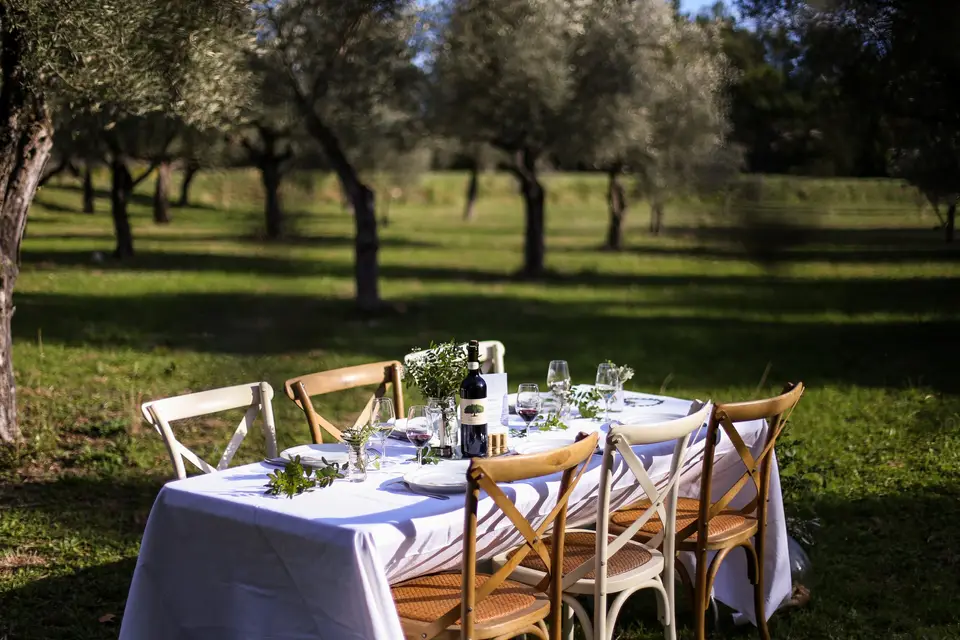 BLB Vignobles — photo 7