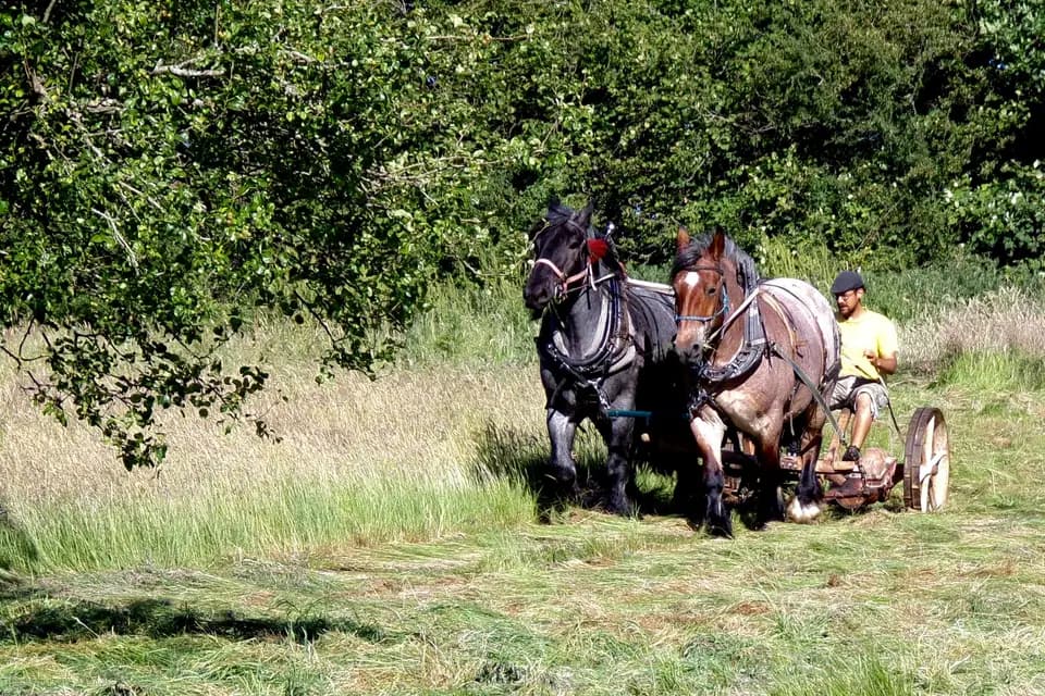 Ferme de la Ruade — photo 7