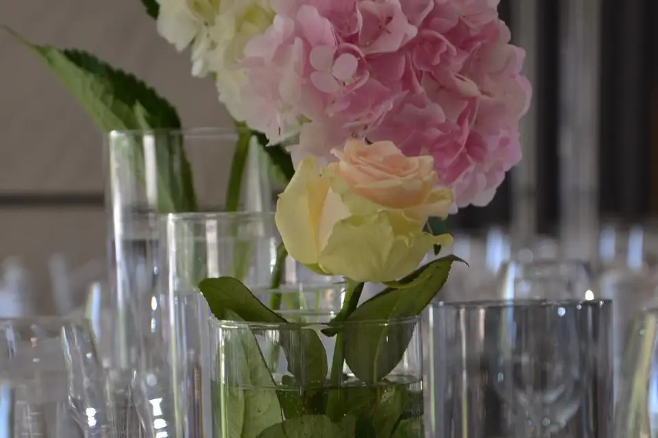 New Day Event — photo 8