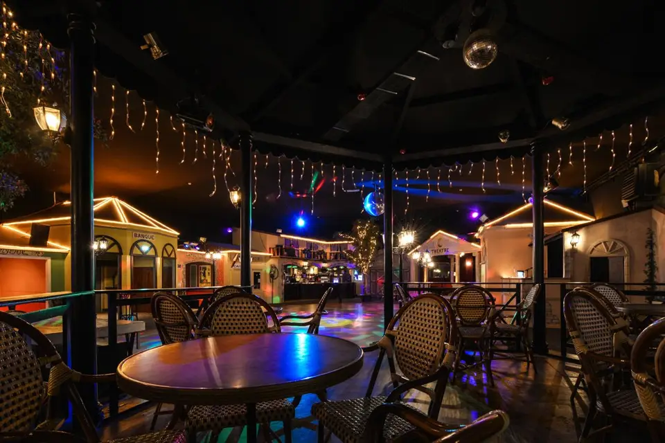 Château de Nenon — photo 5