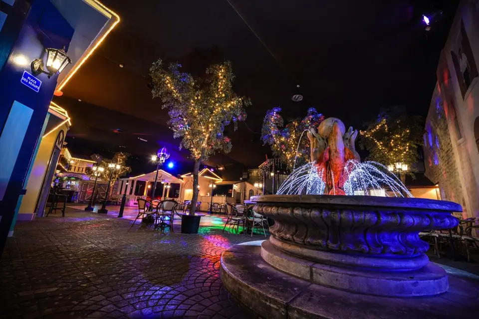 Château de Nenon — photo 4