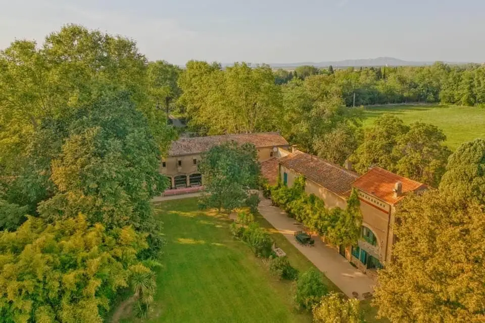 La Bambouseraie de Sulauze — photo 2