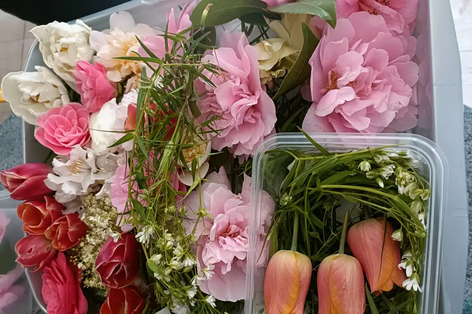 Rébecca Les Jolies Fleurs