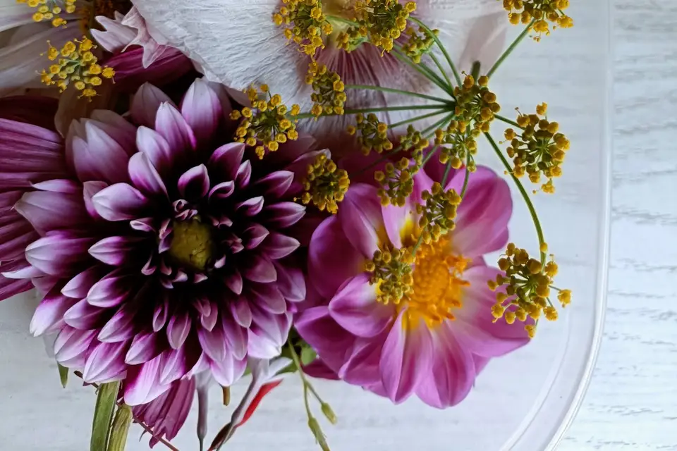 Rébecca Les Jolies Fleurs — photo 4