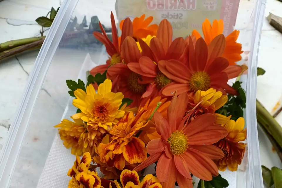 Rébecca Les Jolies Fleurs — photo 5