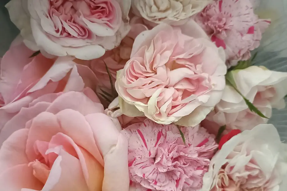 Rébecca Les Jolies Fleurs — photo 6