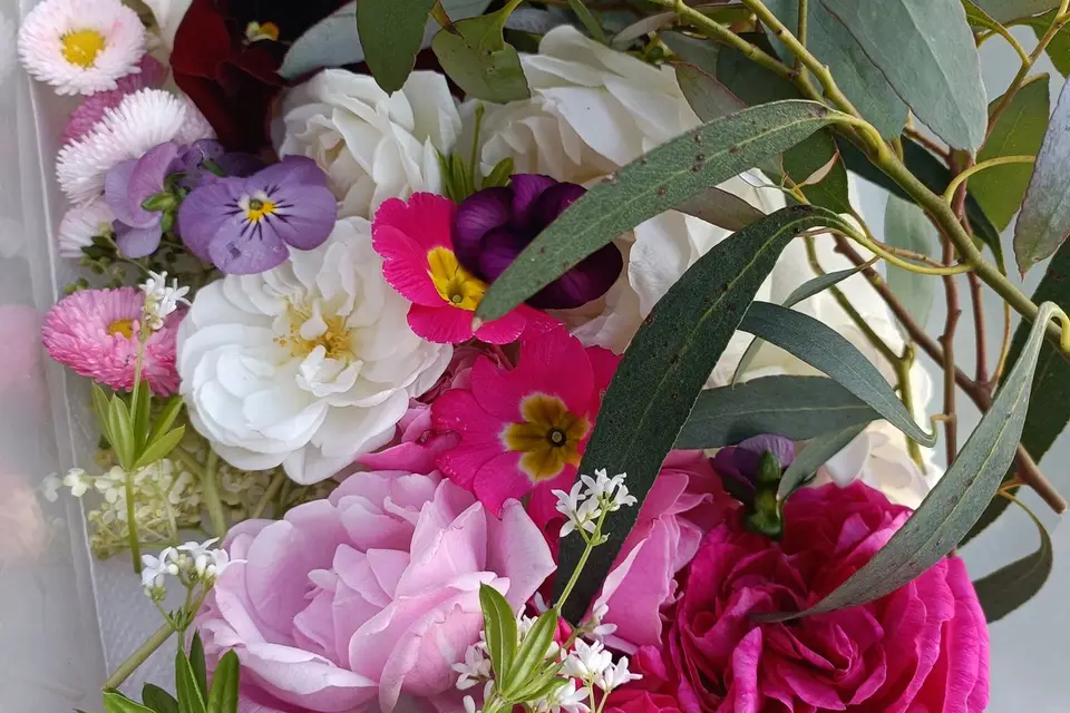 Rébecca Les Jolies Fleurs — photo 7