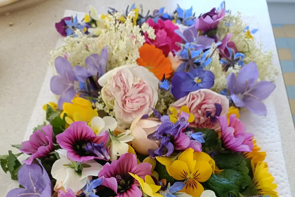 Rébecca Les Jolies Fleurs — photo 8