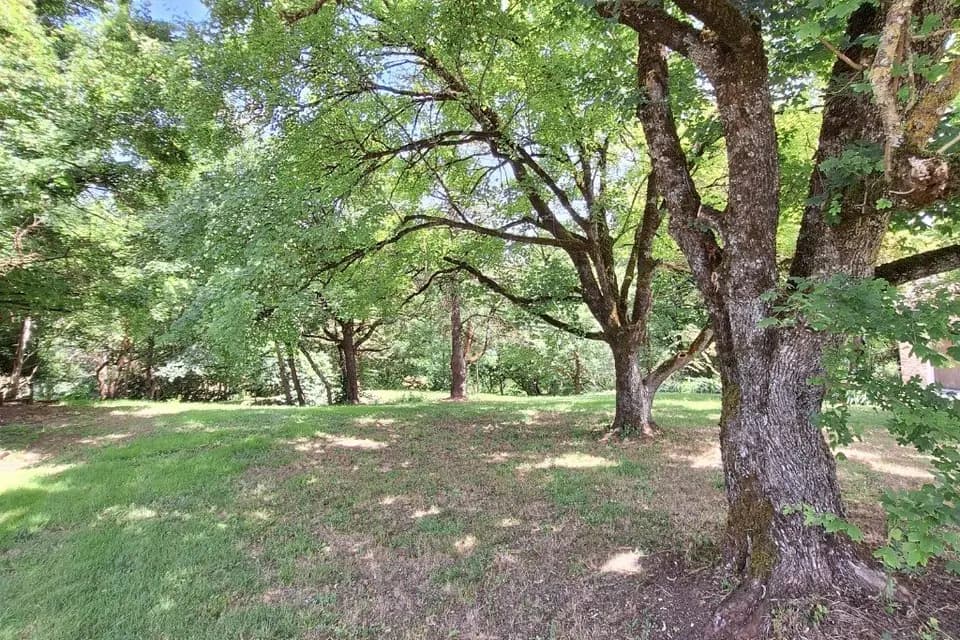 Domaine Des Deux Tours — photo 3