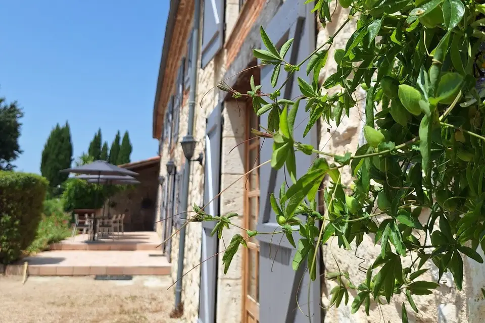 Domaine Des Deux Tours — photo 4