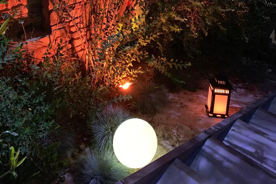 SonoConcept 56 — photo 4