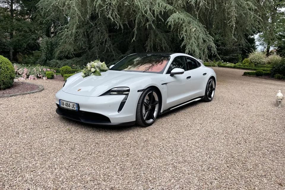 TransVIP59 — photo 5