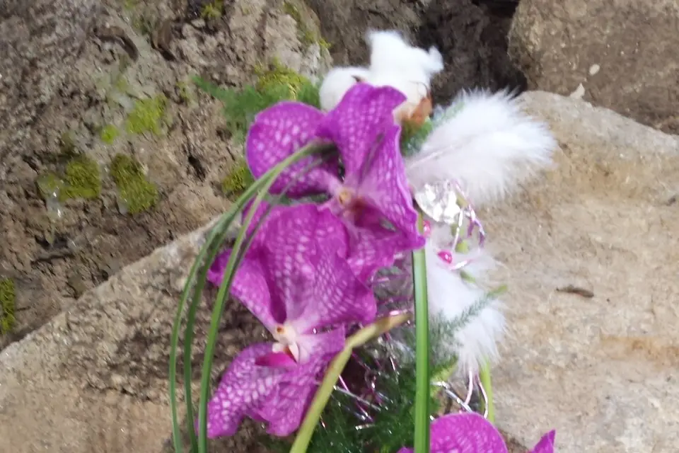 La Roseraie d'Antan — photo 8