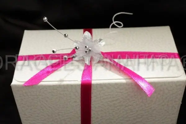 Dragées Anahita — photo 6