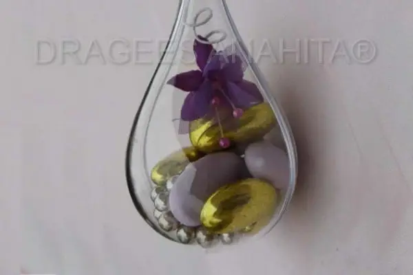 Dragées Anahita — photo 7