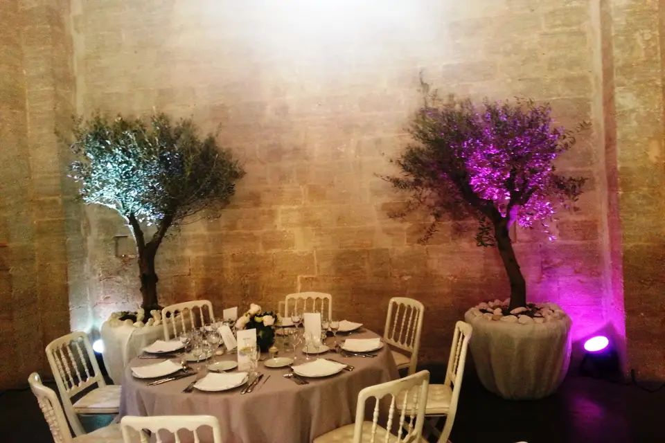 TMD_Musics — photo 3