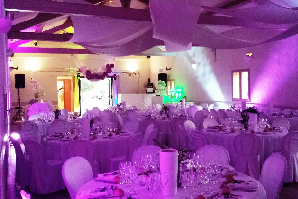 TMD_Musics — photo 4